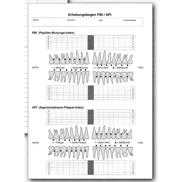 Erhebungsbogen PSI/API