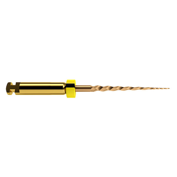 ProTaper Gold Feilen