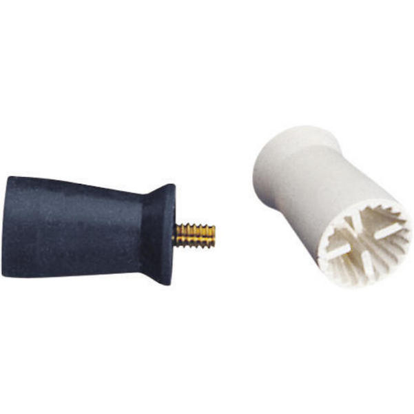 Young™ Prophylaxekelche Petite Web™ Cup LF