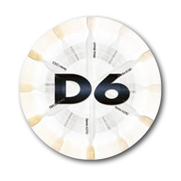 Synergy D6 Shade Guide