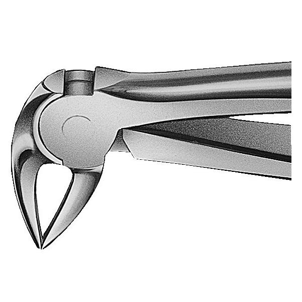 ANATOMICA Wurzelzange nach Büchs