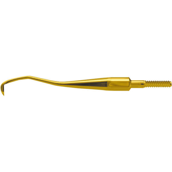 XP Technology™ Quik-Tip™ Scaler