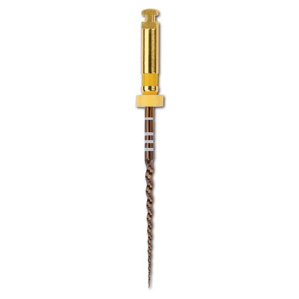 ProTaper Gold Feilen